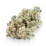 Jack Herer Strain