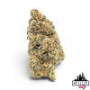 White Trufflez